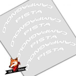 Campagnolo Pista