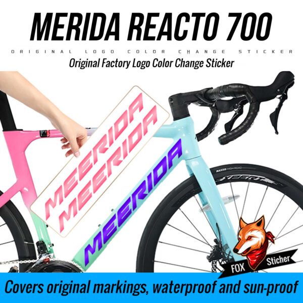 美利达瑞克多Reacto 700