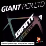 GIANT PCR LTD