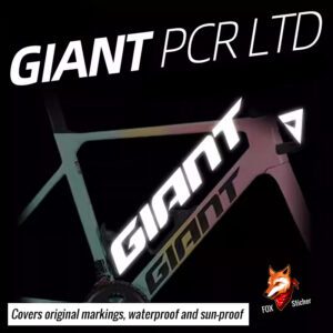 GIANT PCR LTD