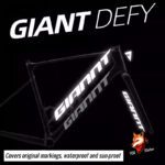 GIANT DEFY