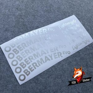 Replacement Color Stickers for Original Logo of LightWeight Obermayer Evo Road Bike Wheelset - Image 3