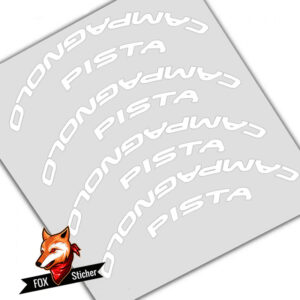 Campagnolo Pista