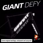GIANT DEFY