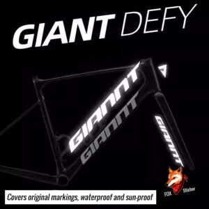 GIANT DEFY