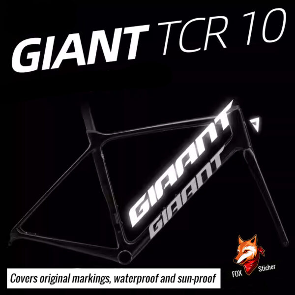 1 giant tcr 10